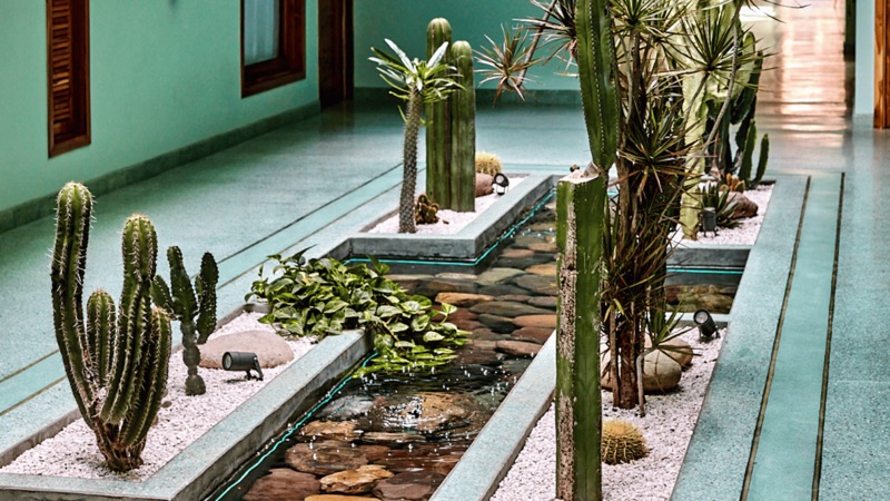 Hotel Luuna de Jade — jade-green courtyard with cacti